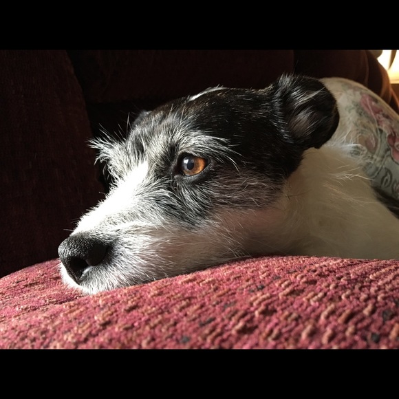 Meet your Posher, Erika - Picture 2 of 2